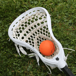 Paradise Minor Lacrosse logo